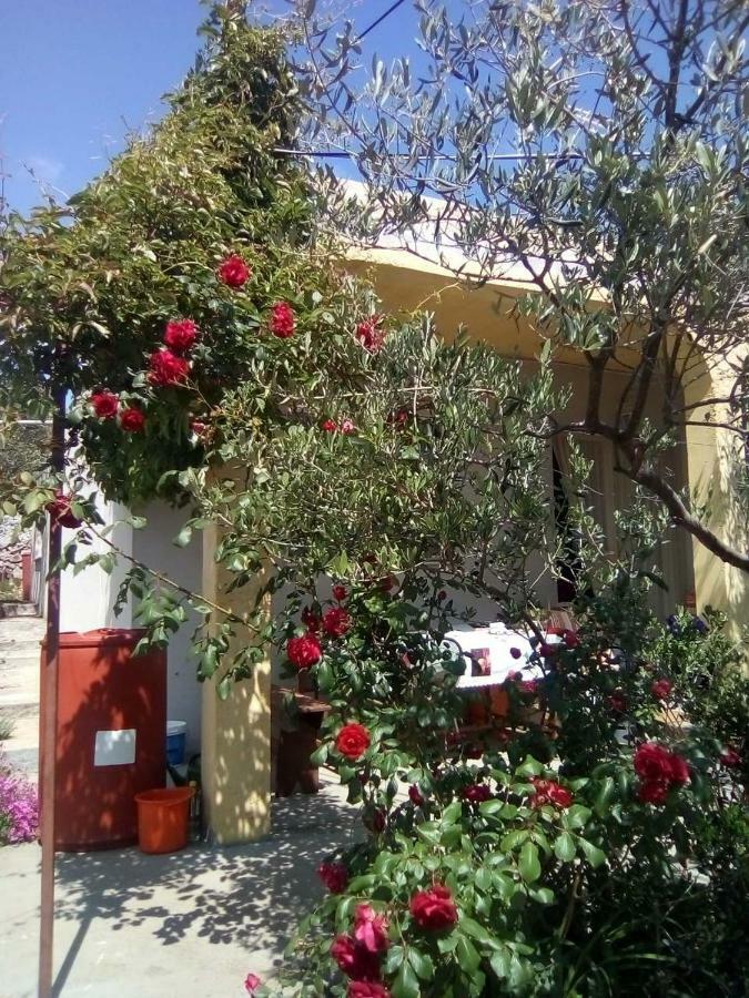 Holiday Home Zeljana Kaprije Exterior photo